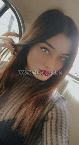 trans girl Kitty69 3812301 trans girl Kitty69 3812301