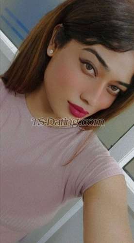 trans girl Kitty69 3812753 trans girl Kitty69 3812753