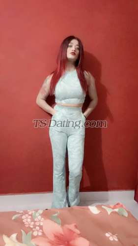 trans girl Kitty69 4248771 trans girl Kitty69 4248771