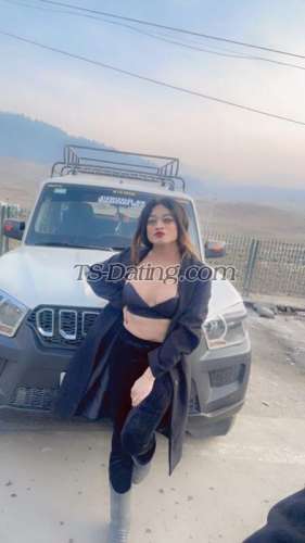 trans girl Kitty69 4594133 trans girl Kitty69 4594133