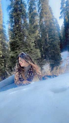 trans girl Kitty69 4594185 trans girl Kitty69 4594185