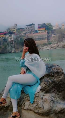 trans girl Kitty69 5032306 trans girl Kitty69 5032306