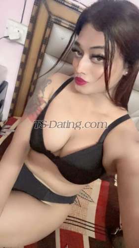 trans girl Kitty69 5212543 trans girl Kitty69 5212543