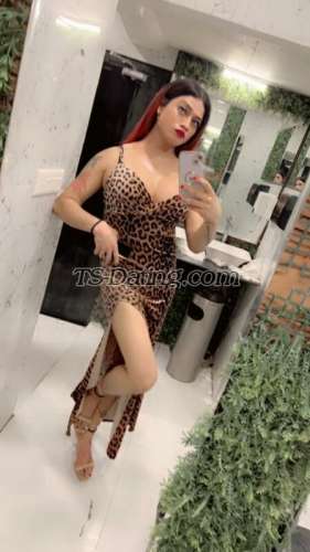 trans girl Kitty69 6735715 trans girl Kitty69 6735715