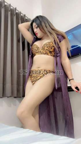 trans girl Kitty69 7272850 trans girl Kitty69 7272850