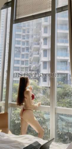 trans girl KateStar 7559317 trans girl KateStar 7559317