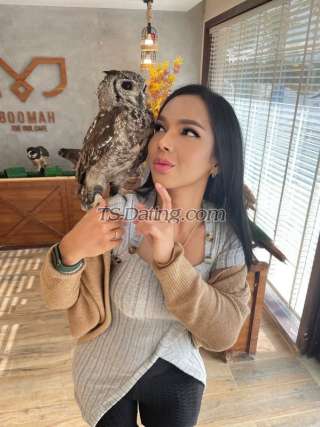 trans girl KkCat 8735003