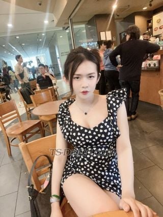 trans girl Korya 8803769 trans girl Korya 8803769