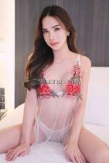 Orchard Towers Ladyboys Girls - Ladyboy Escorts in Orchard Tower | TS-Dating.com