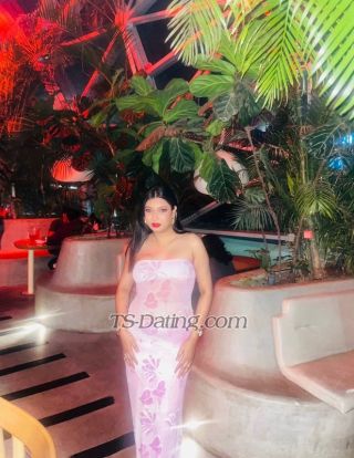 trans girl Krithika 4279531 trans girl Krithika 4279531
