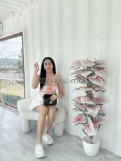 Kubkif Kubkif Taipei Transex Hi~ my name is Kubkif 😜 
Im From Thailand 🇹🇭 🍆 
✅Bottom 
✅Top 
✅Blowjob 
✅handjob 
✅69possition 
✅kiss 
✅condom 
I can take care you everything 
can cum together 
Incall / outcall 
Chat Line WhatsApp
Tell me what do you want babe😘 
Let have fun!!!!❤️
Contact
💌 Line ID : kubkif.sexy
💌 Wechat : kubkif69
💌 What’sapp : +66644104373