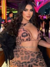 TS Kylie Kylie111 Kylie111 Phuket Transex KYLIE SHEMALE ESCORT THAILAND 🇹🇭 📍 In Chalong 🌟 Das ist das heiße, verführerische Schwarz aus Südthailand, das Ihre Träume wahr werden lässt 😍😘❤️ ✅ Treffen Sie sich beim Incall - Outcall ✅ Oben - Unten ✅ Dreier mit Lady ✅ Sexcam ✅ Chat-Sex ✅ Private Fotos - Video 👉 Anruf: sechs sechs neun neun vier sieben zwei acht vier neun sechs 👉 WhatsApp: + sechs sechs neun neun vier sieben zwei acht vier neun sechs ❌ Keine Spielchen und Dramen ❌
