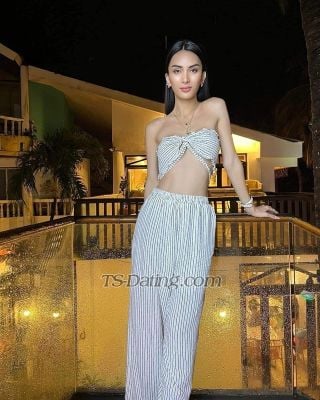 trans girl KylieHendrix 8505833 trans girl KylieHendrix 8505833