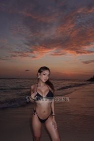 Kylie Yee Kuala Lumpur Transex Hello there. 

“Luxury isn’t a look — it’s a
presence. And baby, I am the presence.”

💋
About Me 

I’m not the type you scroll past. I’m
the one you fantasize about in silence — and remember long
after I’m gone. Standing 170cm tall with a sultry slim-fit
frame, 65kg of sculpted curves, and a natural D-cup to
complete the picture… I’m the perfect blend of softness
and control.

My energy is addictive, my confidence
is unmatched, and my company? Exquisite. I’m selective
with who I spend time with because I value chemistry,
discretion, and high standards. I’m not here for everyone
— I’m here for the powerful few who understand the
difference between a price… and value. 

💘
Choose Your Experience: 

🌹 The Girlfriend
Experience (GFE)

Soft, sensual, and emotionally
immersive. I don’t just keep you company — I make you
feel desired, adored, and completely
unraveled.
	•	Slow kisses, whispered teasing, and
intimate eye contact
	•	Light cuddling, affectionate
touches, shared laughter
	•	Sweet seduction that
builds naturally — like a forbidden
crush
	•	Conversations that feel real, deep, and
addictive
	•	Every moment feels personal, like
you’re mine (but only for the night)

This is the
kind of night you replay in your head. The kind that feels
like love — until I’m gone.

⸻

🔥
The Dominant Fantasy

For the ones who want to
surrender. You don’t guide the night — I do. And trust
me, I know exactly what to do with you.
	•	Bold,
confident energy from the moment I arrive
	•	Eye
contact that makes you nervous… in the best
way
	•	Light domination, teasing control, power play
(at your comfort level)
	•	You’ll be touched when I
allow it — and how I want it
	•	A magnetic mix of
pain and pleasure, all under my rules

I don’t
ask. I instruct. I don’t beg. I reward. If you’ve never
experienced a woman who knows how to lead — let me show
you what you’ve been missing.


💬 Want
both? Let me decide the rhythm. I can be soft in your lap,
or take charge in your sheets. Either way, you’ll be
begging for more.


🕰️
Availability:

I’m available by advance booking
only — I respect both your time and mine. My preference is
for respectful, generous clients who value exclusivity,
elegance, and good energy.

Available
for:
	•	Private dinners
	•	Overnight
indulgence
	•	Weekend getaways
	•	Travel
companionship (passport-ready)
	•	Discreet elite
meetings

I offer tailored experiences, not rushed
sessions. My time is reserved for clients who seek quality,
discretion, and connection.
	

All rates are for
time and companionship only.

📩 How to
Book:

Ready to experience something
unforgettable?
I’m available by appointment only and
respond to polite, respectful inquiries.

Contact Me
Via:
	•	📱 WhatsApp: [+60199948925] 
	•	
Telegram:[@yourbabynawa] (for longer bookings or
travel)
	•	📍Location: Malaysia – available for
domestic & international travel

Please
include:
	•	Your name
	•	Date/time you’re
requesting
	•	Duration (1hr, dinner, overnight,
etc.)
	•	Your city/location
	•	A short,
respectful intro — I only respond to gentleman
energy.

🚫 No calls. No explicit messages.
Respect my time, and I’ll reward yours.
💎
Discretion guaranteed. My world is invitation-only — now
you just need to ask properly.

“I don’t rush. I
don’t settle. And I don’t repeat what isn’t worth
remembering. If you’re looking for an experience that
stays with you — now you know where to find me.”
