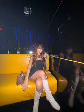trans girl KylieYee 3398329 trans girl KylieYee 3398329