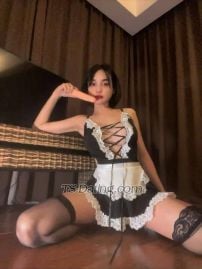 Kylie casandr Kuala Lumpur Transex 💖 Hi Love, I’m Kylie Casandra 💖

Your sweet
and feminine shemale companion from Penang

At 27
years old, I stand 165cm tall and 50kg — smooth fair skin,
curvy body, luscious kissable lips, and deep black eyes that
will keep you wanting more.

I’m here to give you
an unforgettable experience — playful, sensual, and full
of passion. Whether it’s your first time exploring or you
already know what you like, I’ll make sure our time
together feels natural, exciting, and completely
satisfying.

⸻

💘 Choose Your
Experience

With me, you don’t just book time —
you choose the rhythm of the night.
Soft and romantic?
Playful and naughty? Slow and sensual? Or maybe a whole
night of indulgence… 💖

🌹 The Girlfriend
Fantasy (GFE)
Soft, sensual, and affectionate. With me,
it’s all about chemistry and connection.
	•	Sweet
kisses & teasing cuddles
	•	Playful conversations that
feel natural
	•	Tender touches that slowly build into
passion
	•	A mix of innocence & seduction — like
I’m your secret crush 💖

Perfect for gentlemen
who want to feel desired, cared for, and completely at
ease.

⸻

🔥 The Naughty
Adventure
For the ones who want me playful, teasing, and
a little bit wild.
	•	Flirty energy from the moment we
meet
	•	Lingering touches, cheeky smiles, and bold
teasing
	•	I lead you into temptation while keeping it
fun
	•	Excitement that builds until you can’t resist
me 💋

This is the kind of encounter that makes
you smile whenever you remember
it.

⸻

🌸 B2B Sensual
Escape
Indulge in the ultimate body-to-body
experience.
	•	My soft, silky skin sliding against
yours
	•	Warm, teasing closeness that melts stress
away
	•	Gentle kisses, playful strokes, and
irresistible temptation
	•	Every move designed to make
you feel completely alive

It’s intimate,
relaxing, and unforgettable.

⸻

💎
Overnight Indulgence
Because one hour is never
enough…
	•	Dinner, laughter, and chemistry before we
slip away
	•	Hours of passion, intimacy, and whispered
secrets
	•	Falling asleep with me curled in your
arms
	•	Waking up to soft kisses and a smile that
feels like sunshine ✨

For the man who wants it
all — connection, passion, and time to enjoy every
moment.

⸻

💋 So tell me, love… which
experience will you choose tonight?
💋

⸻

✨ What I Offer
	•	Incall
at my private place or hotel
	•	Outcall to 3–5 star
hotels (not private residences)
	•	Overnight stays
available on request

I’m bottom only — which
means all of me is yours to enjoy, while I focus on making
you feel like the only man in the
room.

⸻

🚫 Boundaries &
Etiquette
	•	Safe sex only (no bareback)
	•	No
drugs
	•	Don’t waste my time
	•	Good hygiene
is a must
	•	Respect my boundaries — I treat true
gentlemen like kings 💖

⸻

📩 Booking
Details

When contacting me, please include:
•
Your name
• Date & time you’re requesting
•
Duration (1hr, dinner, overnight, etc.)
• Your
city/location
• A short, respectful intro (I only
respond to gentleman energy ✨)

⸻

📲
Contact Me

❤️ WhatsApp: 017-7098644
❤️
Telegram: beautyandthebeast00

Available with
30–60 min notice.

⸻

💖 Let me be
your sweetest escape, your secret indulgence, and the memory
you’ll never forget. 💋
