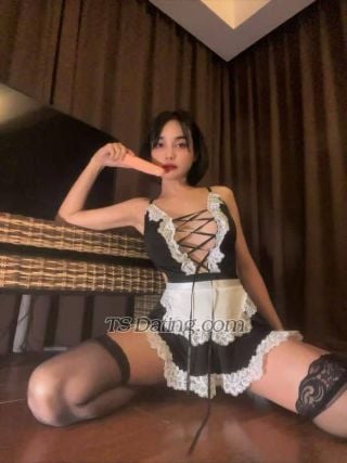 Shemale Escort - Kylie casandr - Malaysia