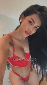 Kynasha Kynasha Kynasha Marbella Transex For the first time in the country; I am a luxury Escort and
my profile is only for high solvency clients.
If
you are looking for a true ladyboy with feminine attributes
with something extra, come and meet me, you will surely not
regret it.
From me you will have a totally
professional service and 100% guaranteed with hygiene,
safety and most importantly discretion in our meeting full
of pleasure and lust.
You will be my master or I
will be your lover to your imagination and without
taboo.
My services are a pleasant company, 100%
involved from start to finish, without
limitations.
Only you choose our time as long as
you feel comfortable by my side. If you want to enjoy and
know how to invest your money and your time, do not hesitate
to contact me, I will be waiting for you in my pleasant
place or at your home.