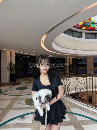 trans girl kathli 2814965 trans girl kathli 2814965