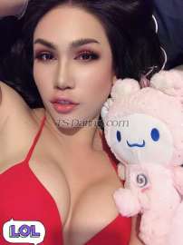 kathylbthai Bangkok Transex Hi🤗  I'm Kathy😘Welcome to visit my profile
I’m from Thailand 🇹🇭  Available in Thailand now
Im Ladyboy with 7.5inc can be top and bottom
Will bring everyone of you to the heaven :)I have
room for Incall and party and happy together Please🙏
keep me in contact by✅Line ID : Cattyzadee 
✅Ig : Cattylovethanomyat❤️WhatsApp:
+66655358539❤️WhatsApp: +971588331480And let's
meet me at Sukhumvit area thank you 🙏😊 take
care.❤️❤️ Top & Bottom big one❤️
Girlfriend Experience❤️ Threesome❤️ Cum on
my body and face .
