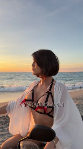 trans girl kishmee69 8808132