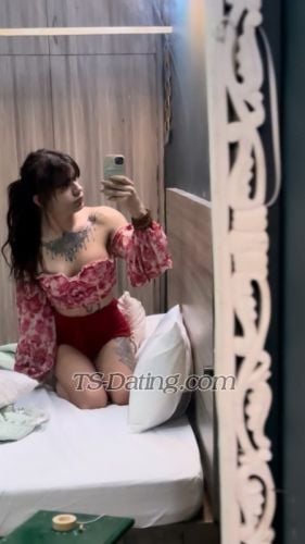 trans girl kyliech 5576072 trans girl kyliech 5576072