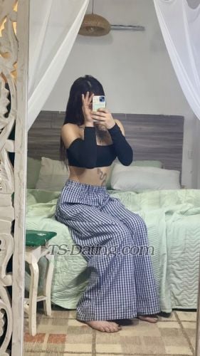 trans girl kyliech 6087729 trans girl kyliech 6087729