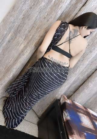 trans girl LIILY 0812656 trans girl LIILY 0812656