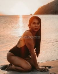 Lady M Lady M Lady M Paris Transex A simple and well mannered Asian trans from Philippine, who
is good in handling conversation. I can
be a good company to fulfill your
desires and wildest fantasies.
Contact me and let’s have a great moment and
unforgettable experience together.
All my photos are 100% real and recent.
Availabilities:
Weekdays: after 19H15 to 22H
Weekends and Public Holidays: from 11H to 23H
Love and kisses, 
Lady M
Je suis
un trans asiatique des Philippines, simple et bien élevé,
qui sait tenir une conversation. Je peux être une bonne
compagnie pour satisfaire vos désirs et vos fantasmes.
Contactez-moi et passez un bon moment et une expérience
inoubliable ensemble. 
Toutes mes photos sont 100%
réelles et récentes. 
Disponibilités :
Jours de semaine : de 19H15 à 22H 
Week-end et
Jours fériés: de 11H à 23H 
Bisous, 
Lady M