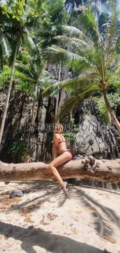 trans girl LaraLeon 7770762 trans girl LaraLeon 7770762