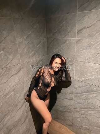 trans girl Larabarcelo 4013797