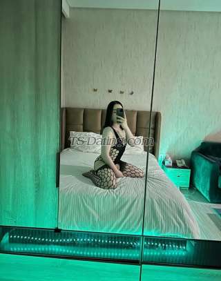 trans girl Lillybothbi 2391429 trans girl Lillybothbi 2391429