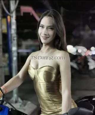 trans girl Lilyhouse 8546526 trans girl Lilyhouse 8546526