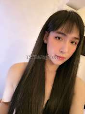 Lingling Lingling20 Lingling20 Ho Chi Minh Transex Lingling dal Vietnam, carina e con un grosso cazzo Buon servizio, sono un travestito (non un Ladyboy) metter il fondo a Contatta tramite Wechat linh-pm