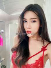 Linglingpung Bangkok Transex Hi i am Ts Dutdao. I come from Bangkok Thailand                                                                                            I'm 26 years old.168cm, 55kg, smooth all over and curvy body.                                                     I'm in Singapore now💖                                                                                                   stay@ private Hotel 100%.                                                                                                   My Real Photos.                                                                                                               My Service Fully Functional, 6' OWO, TOP-BOTTOM, Versatile.                                                        I am good people and polite .Versatile. Alot CUM💦. InCall $ 200/H.OutCall $ 400
if you want great experience contact me. 
Line id: dutdao_89
Wechat id: kwaiine88



                                                                                                                  