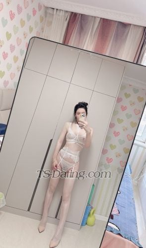 trans girl LisaHan 2482593