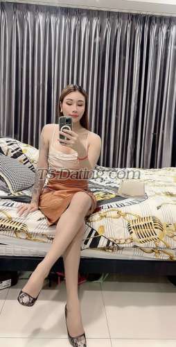 trans girl Litmixaypho 6511714 trans girl Litmixaypho 6511714