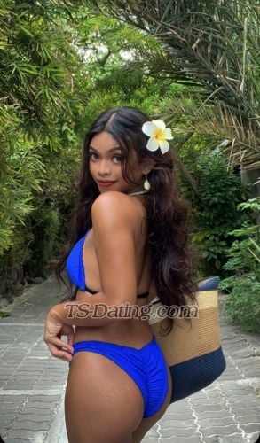 trans girl LittleCarla 7907031 trans girl LittleCarla 7907031