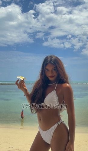 trans girl LittleCarla 8071071