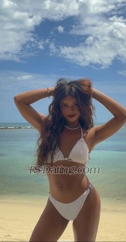 trans girl LittleCarla 8071085