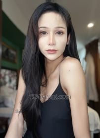 Dorothy LittleDorothy LittleDorothy Penang Georget Transex Eu sou Dorothy, da Tailândia. Prazer em conhecer vocês. 😊 travesti feliz, fofa, engraçada e sexy ❤️ ID do WeChat: Pequena-Dorothy 📞 Whatsapp: +601139652886