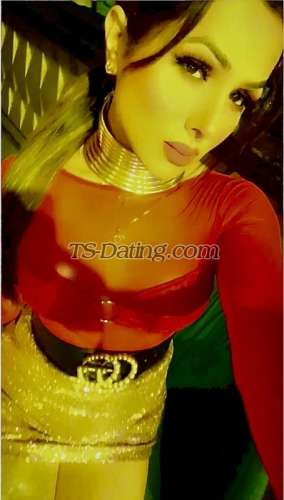 trans girl LizaRoy 3516365 trans girl LizaRoy 3516365