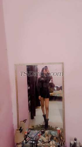 trans girl Lizaxxx 9689978 trans girl Lizaxxx 9689978