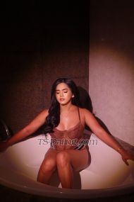 LovelyJhasly Bangkok Transex Hello everyone allowed me to introduce my self im
LovelyJhasly 27 years old from the land of beautiful
peopleSpain/Filipina ,  and i am ready to give you a
satisfaction and fulfill your fantasies ,  I’m here to
give you a best time and unforgettable experience with me ,
The reason why you choose me : First of all i
am clean 100% , from the body , soul and the blood ✅
secondly i am versatile functional TS  , i can be top and
bottom in bed and can give the best experience that you are
wanted for  , and lastly i can extend my capabilities just
let me know what you want and ill try my best to fulfill
your Fantasies . .  For inquires please
do leave me a message below  👇🏼👇🏼👇🏼So
what are you waiting for ? Book now , 
Sms/Call4Line:lovelyjhasly27