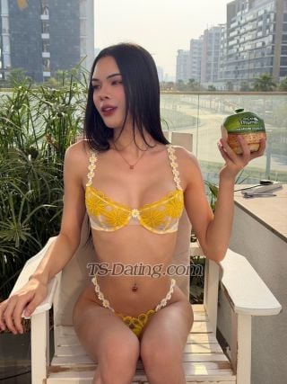trans girl Luckythailand 9429450 trans girl Luckythailand 9429450