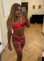 Ludmilla Bombom Ludmilla Bom Ludmilla Bom Mallorca Transex Just arrived in your city. I'm a loving, very kind, polite
Brazilian brunette who likes to do everything possible to be
in harmony with whoever is at my side.
I'd like to
meet elegant, intelligent, and kind men. Available 24 hours
a day.
I love talking and discovering new things,
especially people who, like me, are open to it.
If
you're interested in meeting me, send me a message on
WhatsApp, and we'll talk more about what we can do
together.
I'll see you soon.