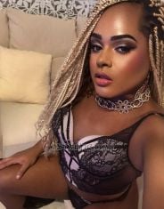 Ludmilla Bom Kaunas Transex Just arrived in your city. I'm a loving, very kind, polite Brazilian brunette who likes to do everything possible to be in harmony with whoever is at my side.

I'd like to meet elegant, intelligent, and kind men. Available 24 hours a day.

I love talking and discovering new things, especially people who, like me, are open to it.

If you're interested in meeting me, send me a message on WhatsApp, and we'll talk more about what we can do together.

I'll see you soon.