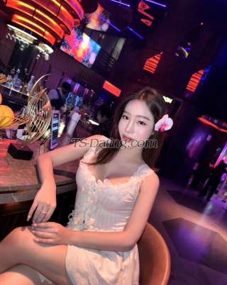 trans girl Luisethaoi 1830953 trans girl Luisethaoi 1830953