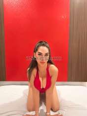Lusyy Bali Transex Hello my name is lusyy , i am good service , i am like
dinner and any speaking ,i am looking for serious customer
and i am for working hard 
 
Let’s talk in
WhatsApp  
+6281253576766