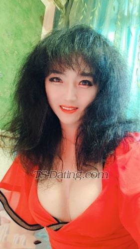 trans girl ladyboyhk 5977875 trans girl ladyboyhk 5977875